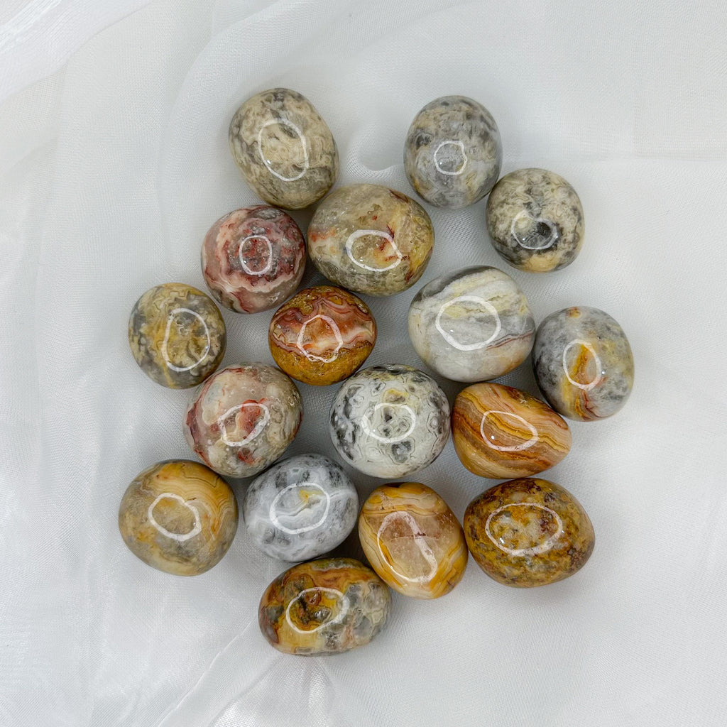 Crazy Lace Agate Tumble Stones